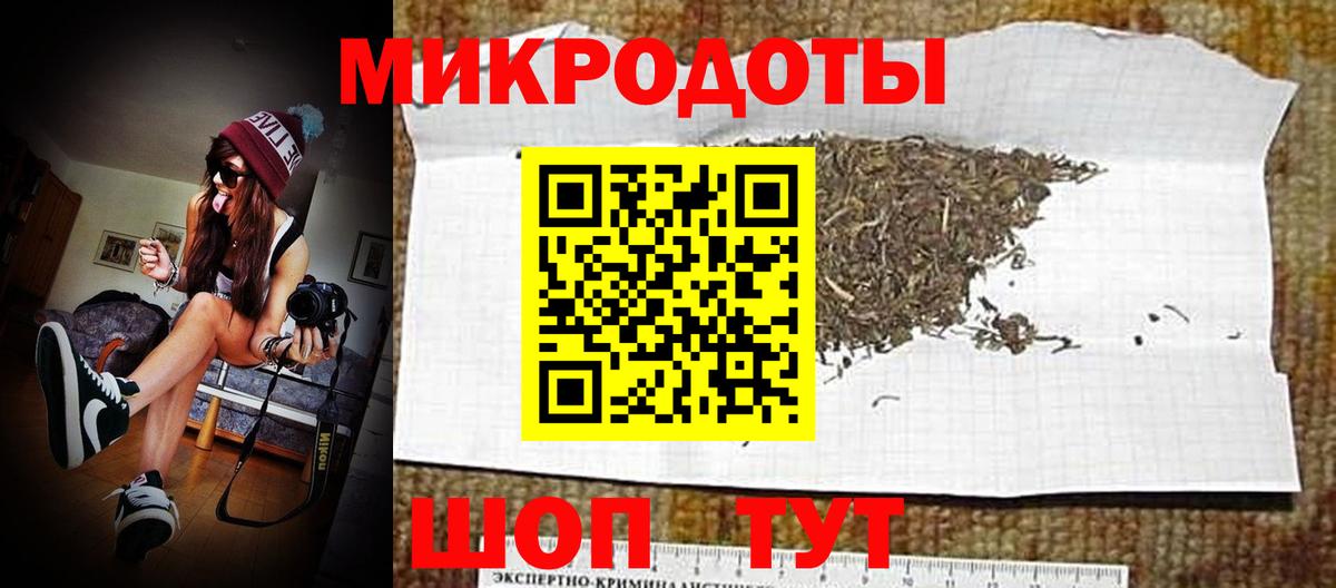 Павловский Посад  Псилоцибиновые грибы Psilocybe  Вход с VPN 